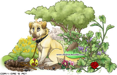 Dressed pet