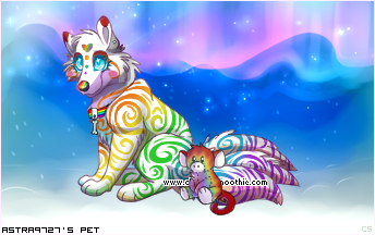 Dressed pet