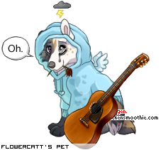 Dressed pet