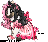 Dressed pet