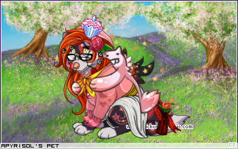 Dressed pet