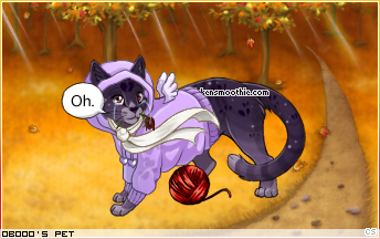 Dressed pet