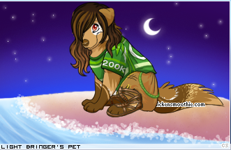 Dressed pet