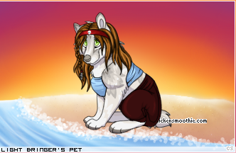 Dressed pet