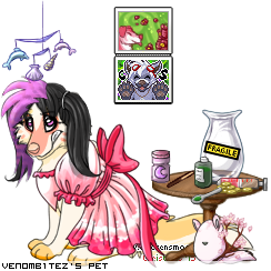 Dressed pet