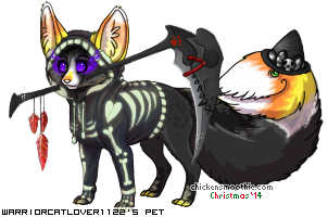 Dressed pet