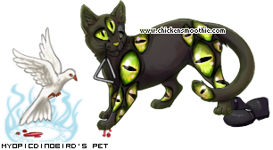 Dressed pet