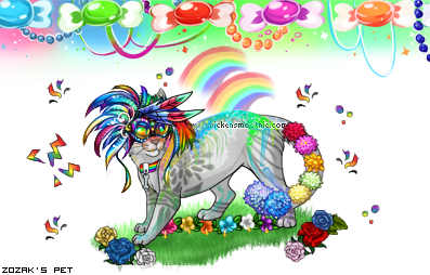 Dressed pet