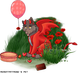 Dressed pet