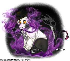 Dressed pet