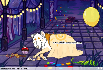 Dressed pet