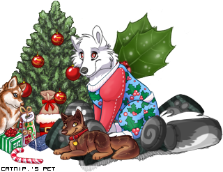 Dressed pet