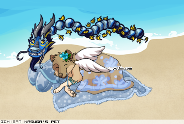 Dressed pet