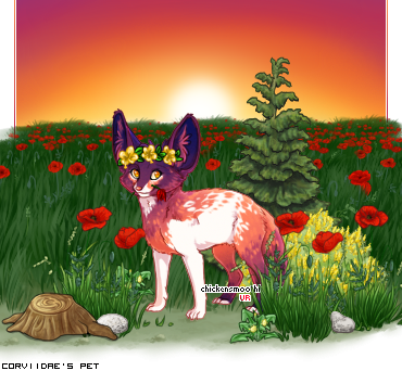 Dressed pet