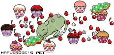 Dressed pet