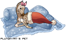 Dressed pet
