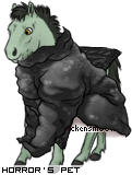 Dressed pet