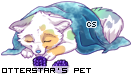 Dressed pet