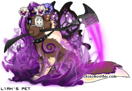 Dressed pet