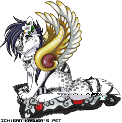 Dressed pet