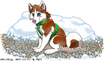 Dressed pet