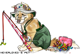 Dressed pet