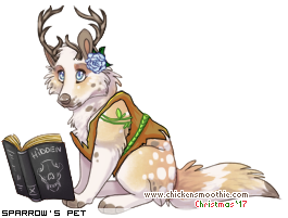 Dressed pet