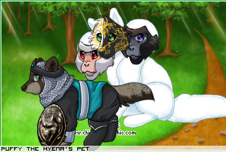 Dressed pet
