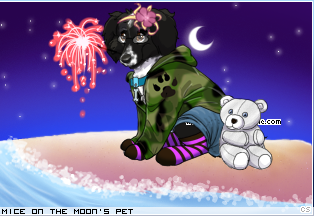 Dressed pet