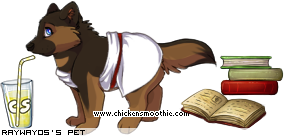 Dressed pet