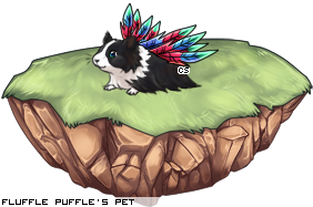 Dressed pet