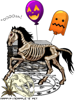 Dressed pet