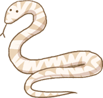 Snake.png