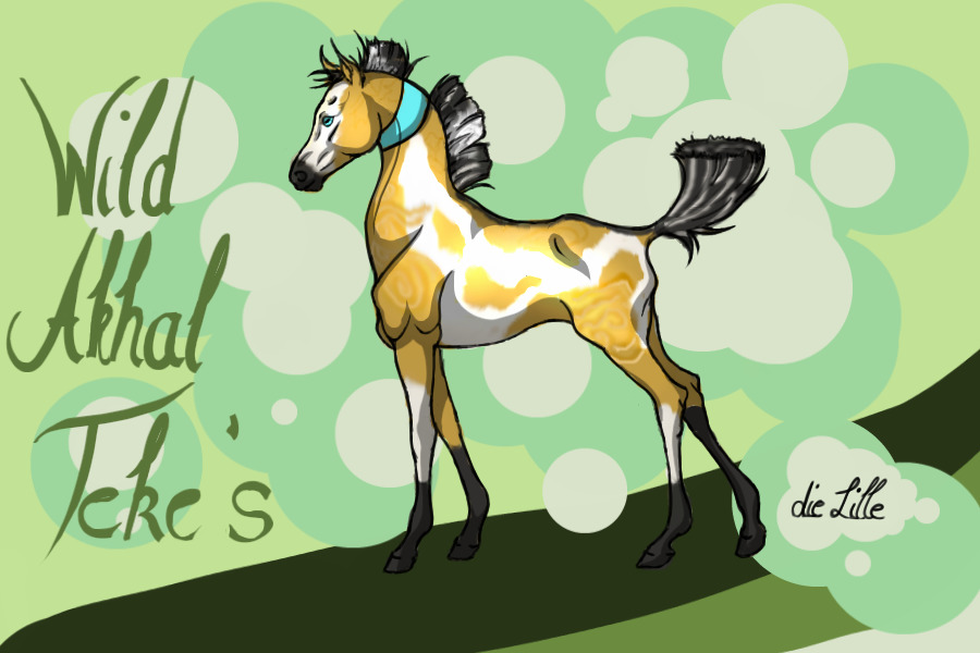 View topic - buckskin paint entry - Chicken Smoothie