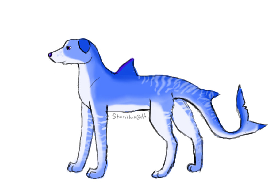 View topic - Sharkdog Idea - Chicken Smoothie