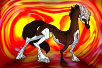 View topic - Dragon Equine - Splash Brindle - Chicken Smoothie