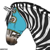 Zebra Racing Stripes