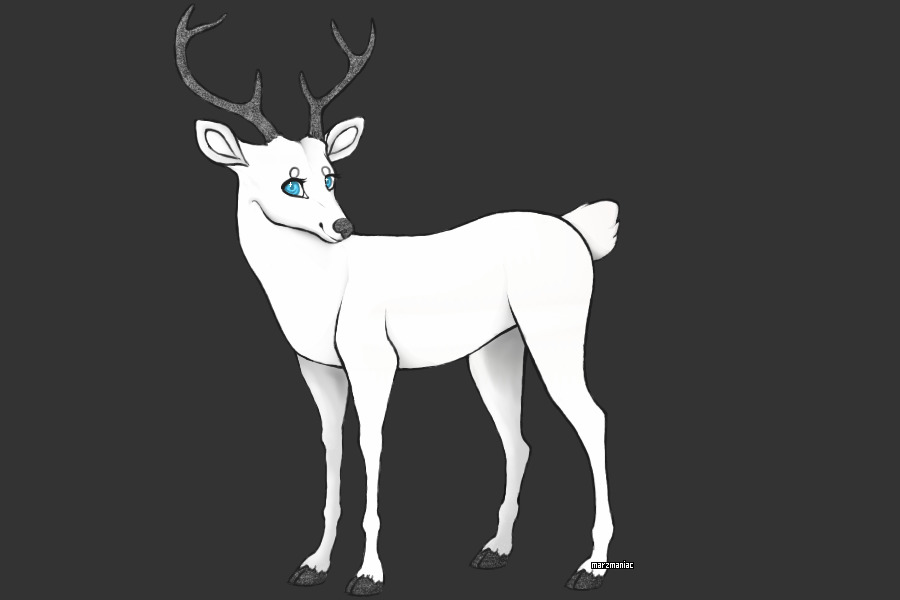 Frosty fawn webkinz shop