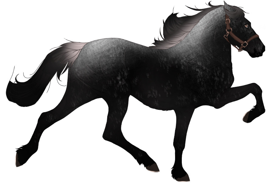 View Topic 6559 Black Snowflake Appaloosa W Lacing Chicken Smoothie