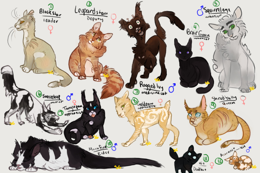 Warrior Cat Ref Sheet Base