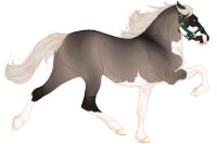 View topic - #7044 Silver grulla splash rabicano - Chicken Smoothie