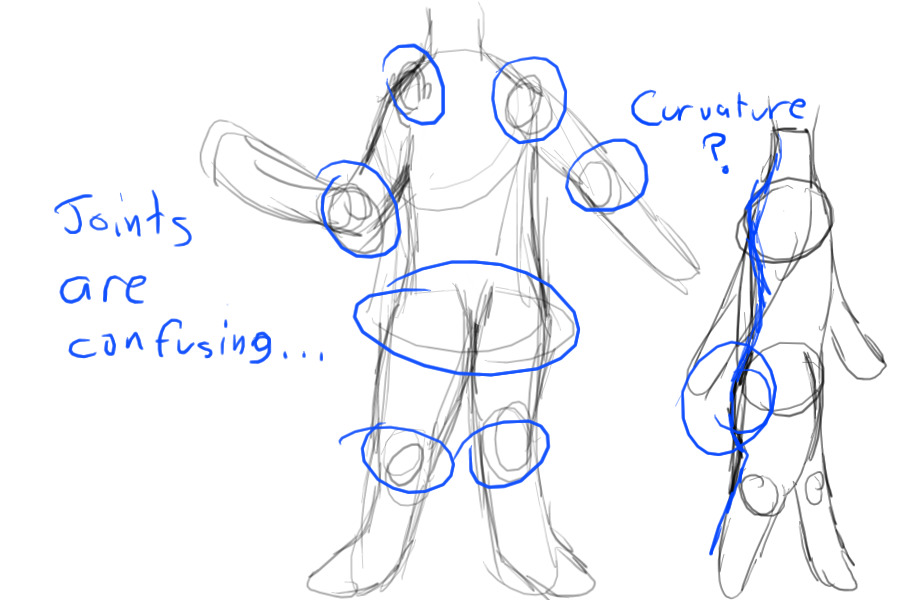 View topic - Human anatomy, from a cartoon artist perspective? - Chicken  Smoothie