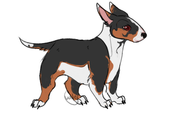 Bull shop terrier oc