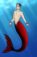 View topic - Merman - Chicken Smoothie