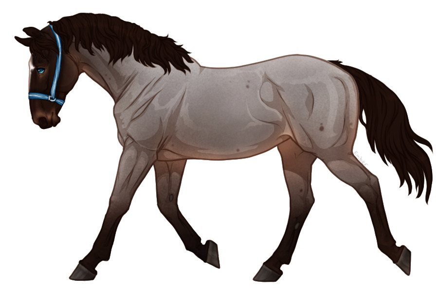 View topic Range Trotter 4888 Chicken Smoothie