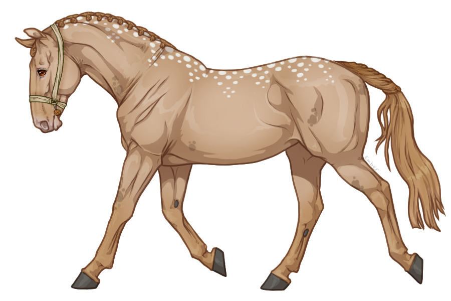 View topic Range Trotter 4893 Chicken Smoothie