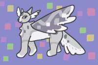 View topic - free raffle - pyop