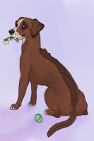 View topic - Ridgeback cfc - Chicken Smoothie