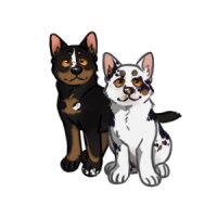 View topic - Stillehond Litter #001 - Chicken Smoothie