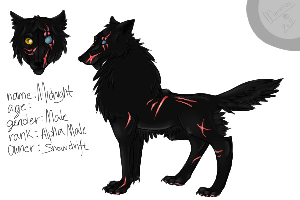 Good Rp Names For Wolves